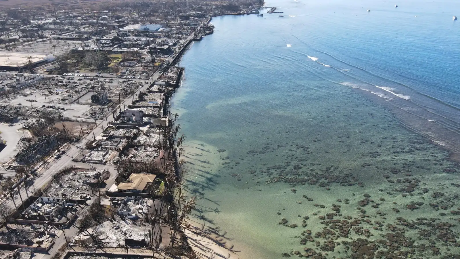 Maui Wildfires Caused 67% Spike in Deaths, Many Uncounted